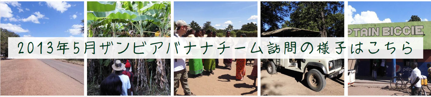 2013年5月ザンビアバナナチーム訪問の様子はこちら